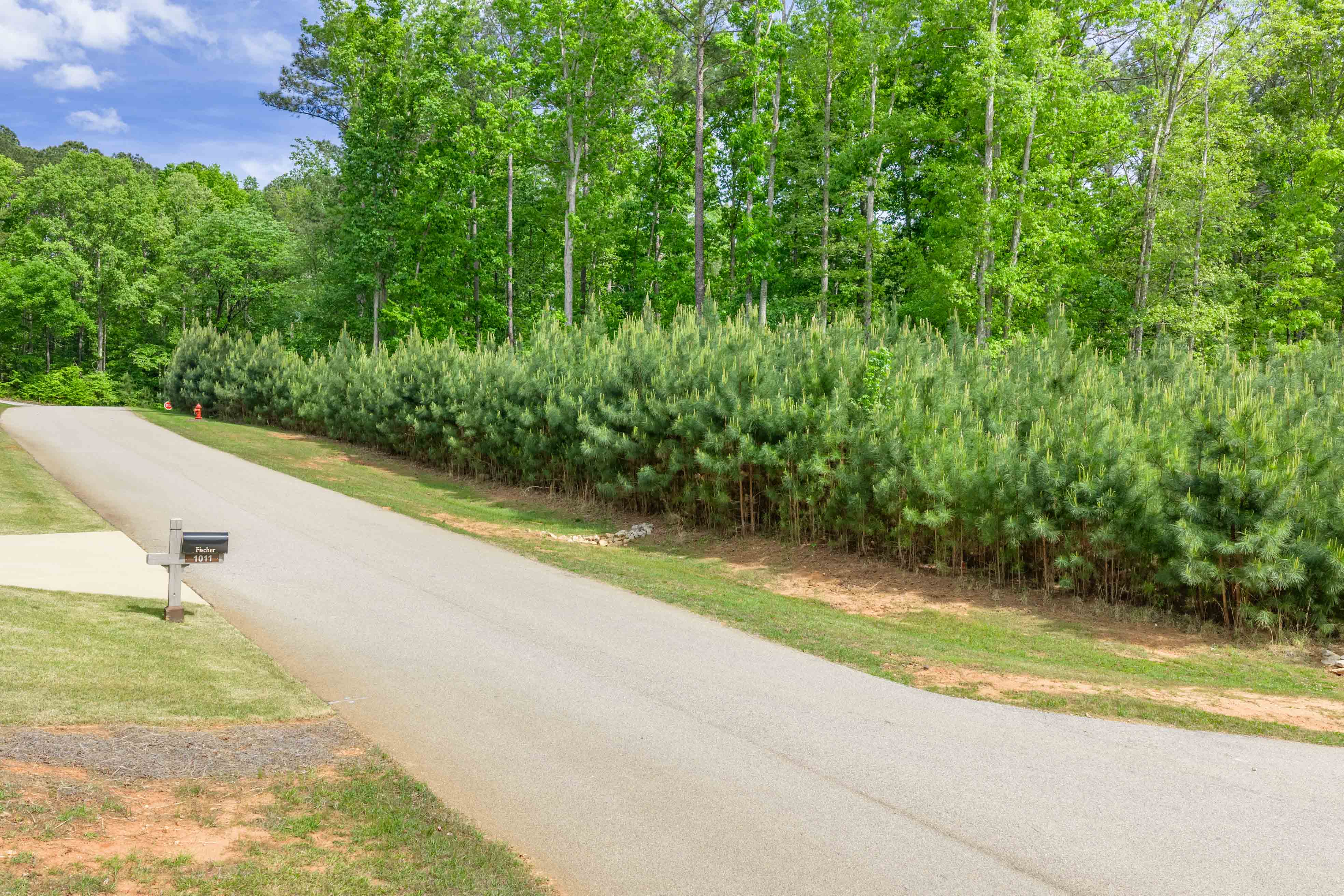 1010 Nighthawk Way image 3